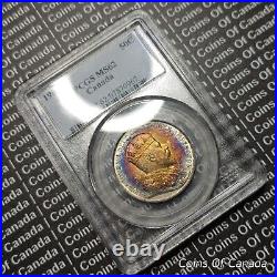 1903 H Canada Silver 50 Cents Coin PCGS MS 62 Rainbow Toning #coinsofcanada