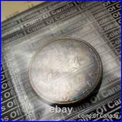 1955 Canada $1 Silver Dollar Coin ICCS MS 65 Stunning Toning WOW! #coinsofcanada