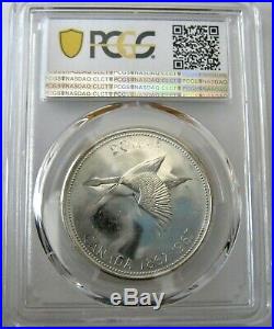1967 Silver Dollar Double Struck Flying/Diving Goose Stunning Coin