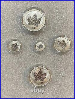 2004 Canada 99.99% Silver Maple Leaf 5-coin Fractional set with RCM Privy Mark