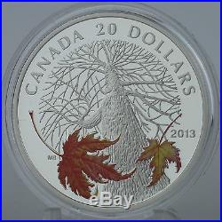 2013 $20 Canadian Maple Canopy in Autumn. 9999 Pure Silver Color Proof Coin