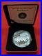 2013_CANADA_MINT_100_The_American_Bison_SILVER_COIN_01_lei