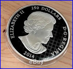 2014 Canada $250 Dollars 1 Kilo 9999 Silver Coin Maple Leaf Forever Enamelled