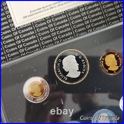 2014 Canada Fine Silver Proof Coin Set Gold Plated Silver Dollar #coinsofcanada