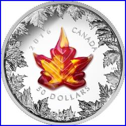 2016'Murano Maple Leaf -Autumn Radiance' Prf $50 Pure Silver 5oz Coin(17684)OOAK
