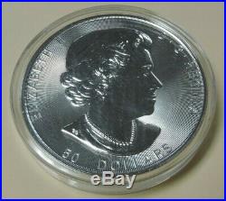 2017 10oz. 9999 Fine Silver Canada Maple Leaf Coin