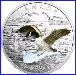 2017 1 Oz PROOF Silver $20 Canadian 3D APPROACHING GOOSE Coin