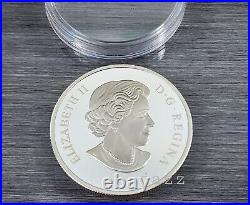 2017 Canada $20 1 oz Pure Silver Coloured Coin A Platinum Celebration Proof