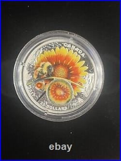 2017 Canada $20 Mother Nature's Magnification Beauty Under the Sun (COA+BOX)