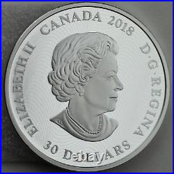 2018 $30 Arctic Animals and Northern Lights Polar Bear Pure Silver GITD Coin