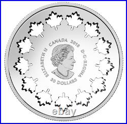 2018 Canada $30 Evolving a Nation Pure Silver Coin 2 oz