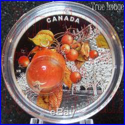 2018 Canada Mother Nature's Magnification #2 Morning Dew $20 Pure Silver Coin