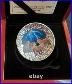 2018 Canada Nature's Light Show Stormy Night $50 Silver 5 OZ coin Glowing