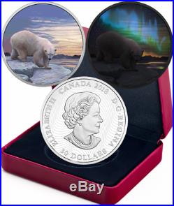 2018 Polar Bear Northern Lights Arctic Animals $30 2OZ Silver Proof Coin Canada