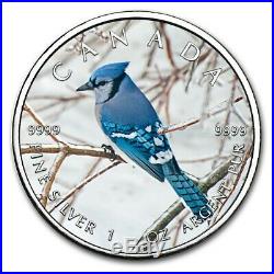 2019 $5 Canada Wildlife Maple Leaf BLUE JAY 1 Oz Silver Coin