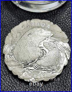 2019 Canadian Polar Bear Mother & Cub 5oz Pure Silver Coin Unique Glacial Shape