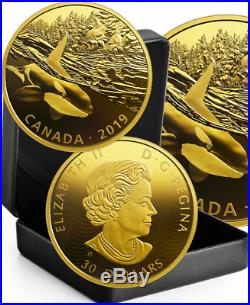 2019 Orca & Sea Lions $30 2OZ Pure Silver Proof Coin Canada Predator Prey Golden
