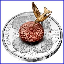 2020 5 oz. Canada Pure Silver Rotating Coin The Hummingbird and the Bloom