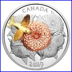 2020 Canada The Hummingbird and the Bloom $50 Pure Silver 5oz. 9999 Fine Coin