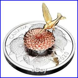 2020 Canada The Hummingbird and the Bloom $50 Pure Silver 5oz. 9999 Fine Coin