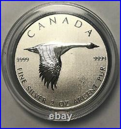 2020 Goose Maple Leaf 2 oz. 9999 Silver $10 Coin Canada Mint Alex Colville