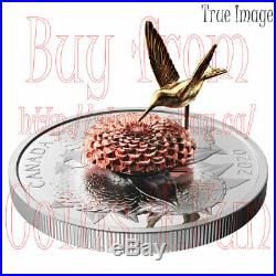 2020 The Moving Hummingbird and the Bloom $50 5 OZ Pure Silver Proof Coin Canada