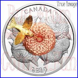2020 The Moving Hummingbird and the Bloom $50 5 OZ Pure Silver Proof Coin Canada