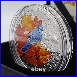2021 1 oz. Pure Silver $20 Proof Coin Colorful Birds The Blue Jay Maple Leaf