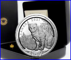 2021 3.4 oz $50 Multilayered Cougar 3D pure silver Coin. 9999 Low Mintage 1,500