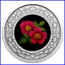 2021 Canada Floral Emblems Alberta Wild Rose 3$ 99.99% Pure Silver Coin