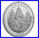 2022_50_Pure_Silver_Coin_The_Magic_of_the_Season_Royal_Canada_Mint_01_ixq