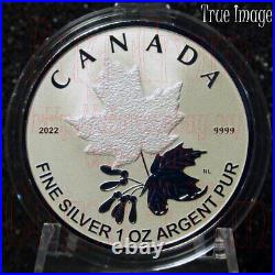 2022 A Radiant Crown Maple Leaf 5-Coin Pure Silver Proof Fractional Set Canada