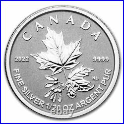 2022 Canada 5-Coin Silver A Radiant Crown Fractional Set SKU#236835