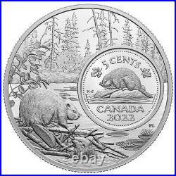 2022 Canada 5 oz Proof Silver The Bigger Picture The Beaver 5c coin