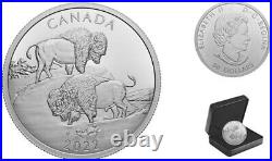 2022'The Mighty Bison' Proof $30 Silver Coin 2oz. 9999 Fine(RCM 204331) (20505)