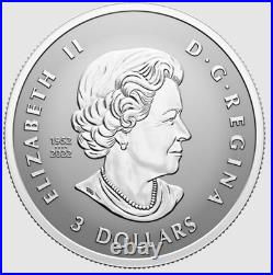 2024 CANADA Fractional Fine silver 5 x SML coin set 99.99% silver- Autumn Beauty