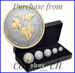 2024 Canada 5 coin SML Silver Maple Leaf Fractional Set Autumn Beauty