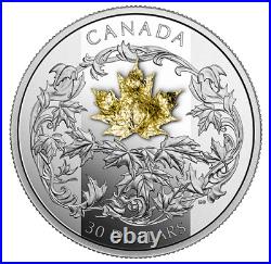 2 oz. 2018, $30 Pure Silver Coin Canada, Golden Maple Leaf, Maple leaf coin