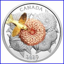 5 oz. Pure Silver Coin The Hummingbird and the Bloom Mintage 1,250 (2020)