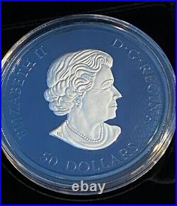 5 oz. Silver Coin with Blue Rhodium Plating Maple Leaf, Mintage 1,500 (2022)