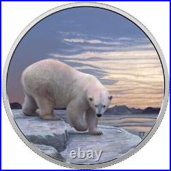 Arctic Animals & Northern Lights Polar Bear 2018 Canada $30 Fine Silver Coin