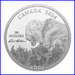 BISON Weather Watch Silver Coin $30 Canada 2024