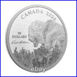 BISON Weather Watch Silver Coin $30 Canada 2024