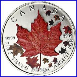 CANADA 2001 4 x 1 oz Maple Leaf Four Seasons Silver Coin Set 4 oz