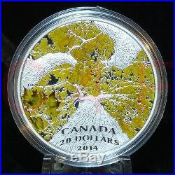 COA #500 2014 Canadian Maple Canopy #4 Autumn Allure $20 1 oz Pure Silver Coin