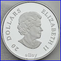 Canada 2013 Winter Snowflake 1 oz. Pure Silver $20 Proof Coin, Swarovski Crystal