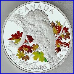 Canada 2014 $20 Cougar in Autumn Maple Tree 1 oz. Pure Silver Color Proof Coin