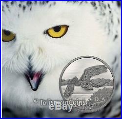 Canada 2014 Snowy Owl Arctic Wildlife $50 Pure Silver Matte Proof Coin Full OGP