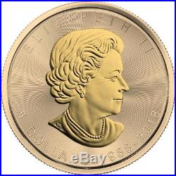 Canada 2018 5$ Maple Leaf 30th Anniversary 1 oz Gilded Silver Coin