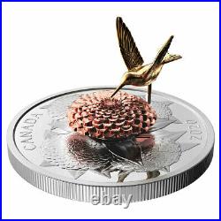 Canada 2020 $50 Moving Hummingbird and the Bloom 5OZ Pure Silver Proof Coin